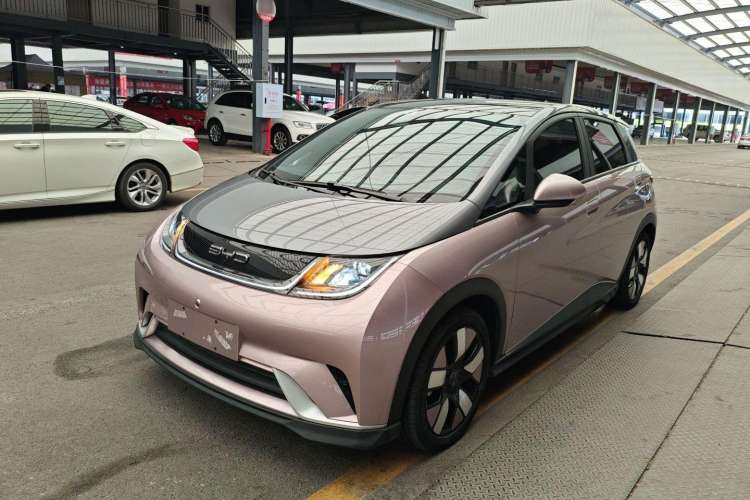 Used BYD Dolphin 2021 401km Knight Edition