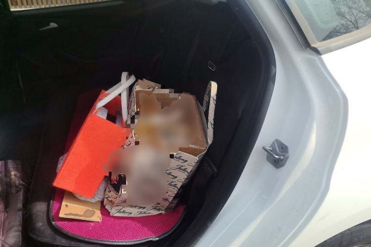 Used Ford Focus 2012 Hatchback 1.6L Automatic Comfort Model
