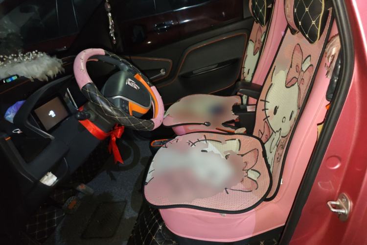 Used Baojun E100 2019 250KM Smart Drive Edition Left Front Seat