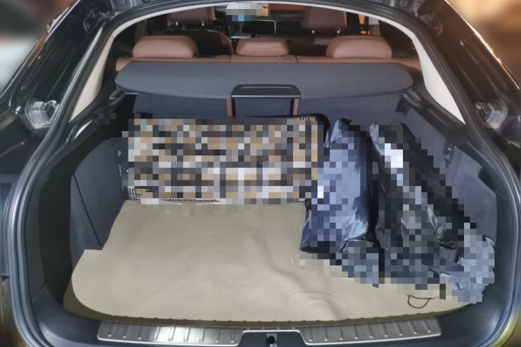 Used BMW X6 2017 xDrive35i Leading Model Trunk