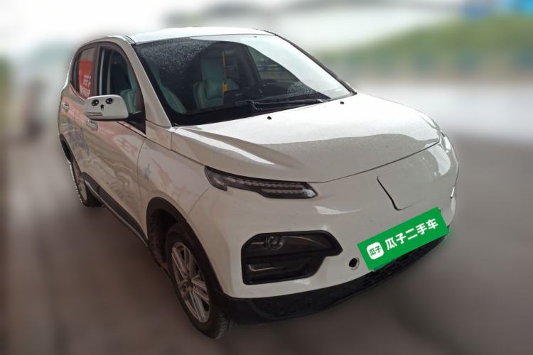 Used Dayun Yuehu 2022 30.66 kWh Two-Wheel Drive Standard Version
