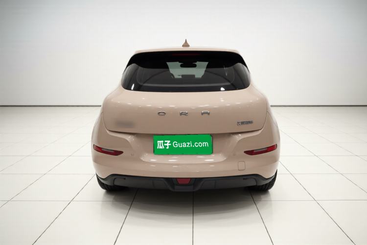 Used ORA Good Cat 2024 401 km Luxury Version Exterior 4