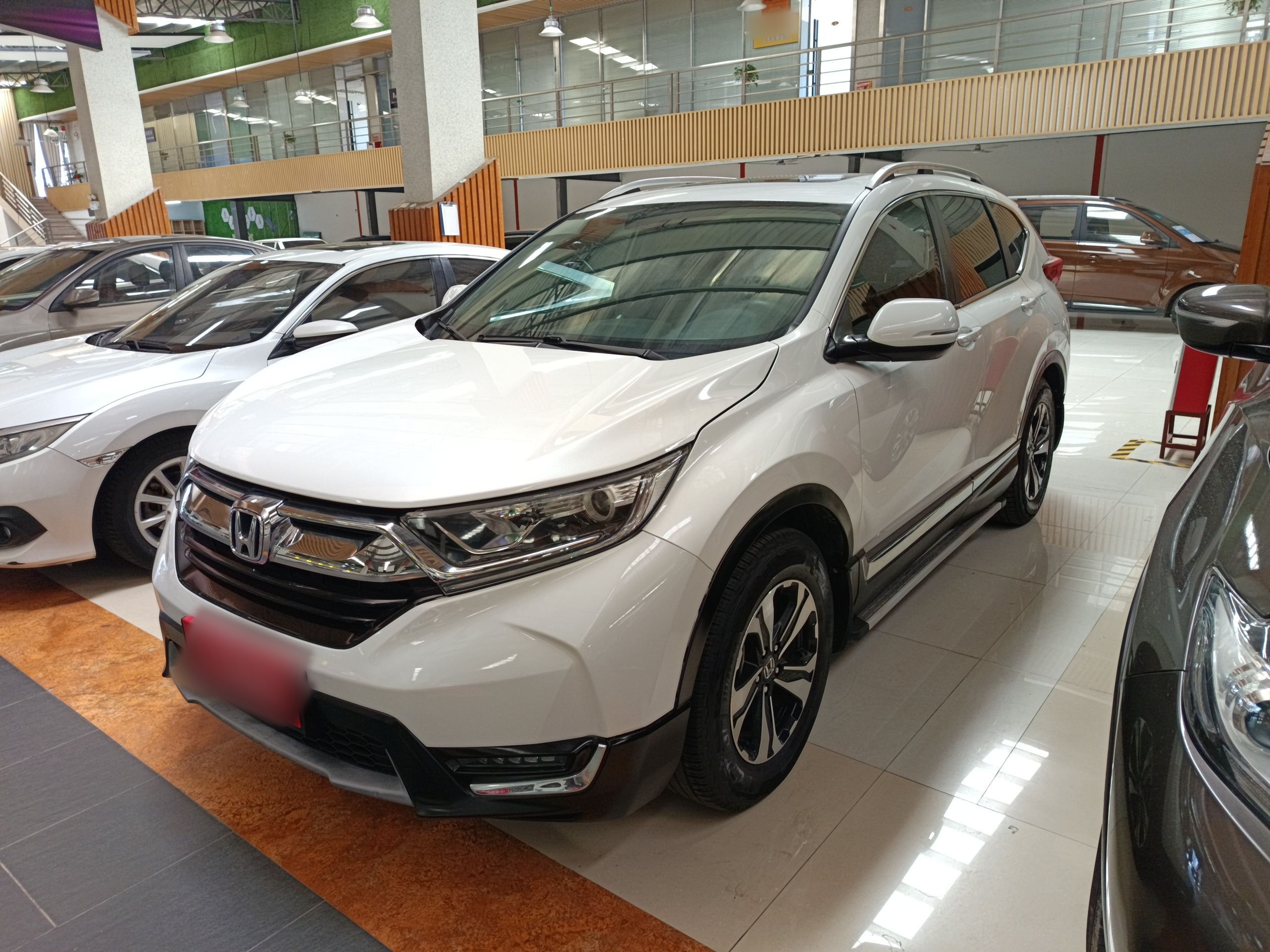 Parte inferior delantera