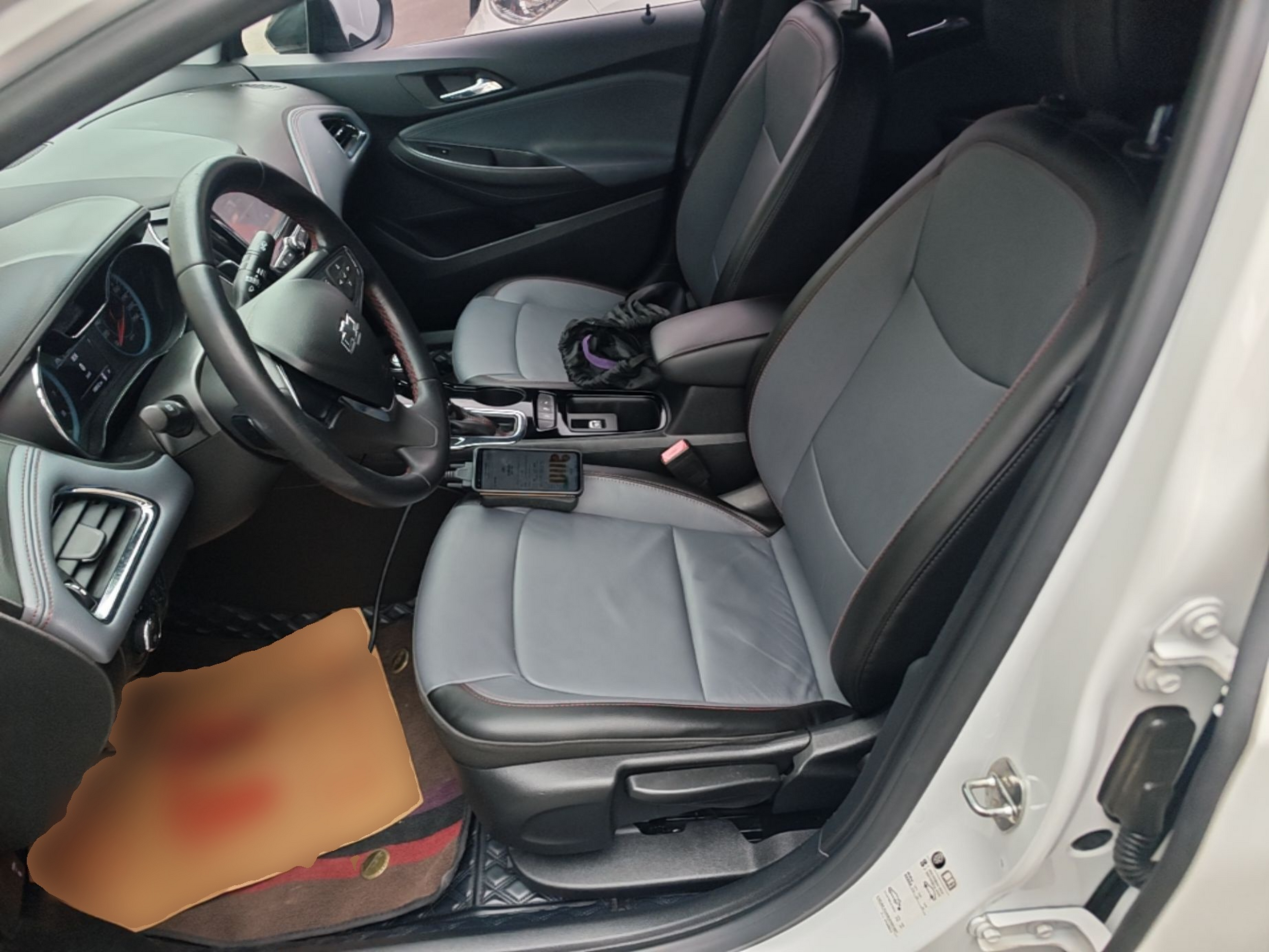 Interior delantero