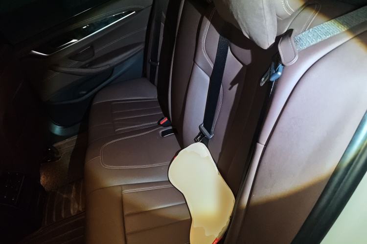 Used BMW 5 Series 2020 525Li M Sport Package