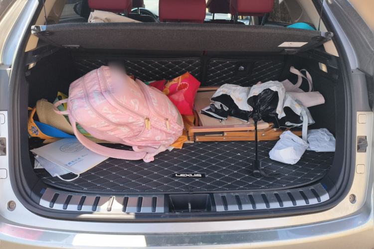 Used Lexus NX 2020 200 All-Wheel Drive Fēngshàng Version China VI Standard Trunk