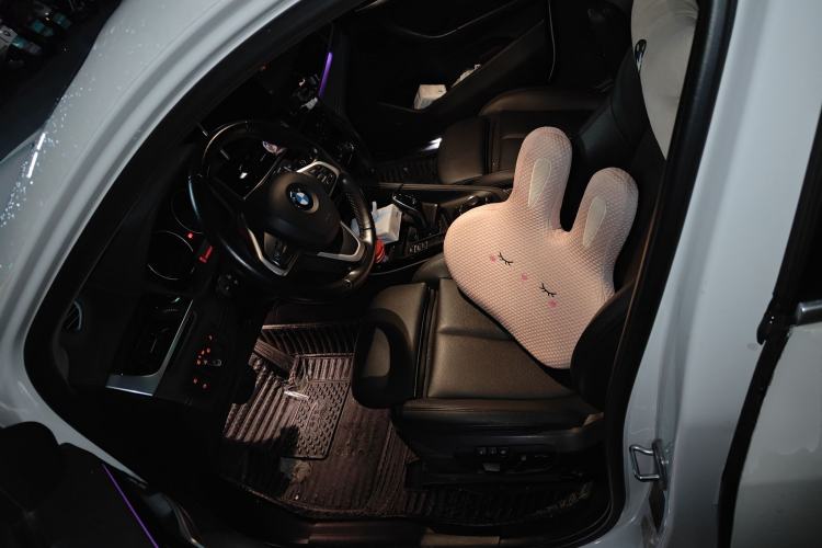 Used BMW X2 2019 sDrive25i Leading Edition M Sport Package China VI