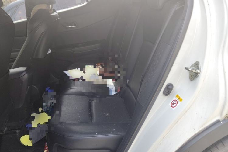 Used Toyota IZOA 2018 2.0L Yichi Version China VI Standard