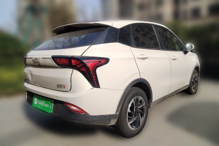 Used NETA V 2022 Long-Range Industry Custom Edition