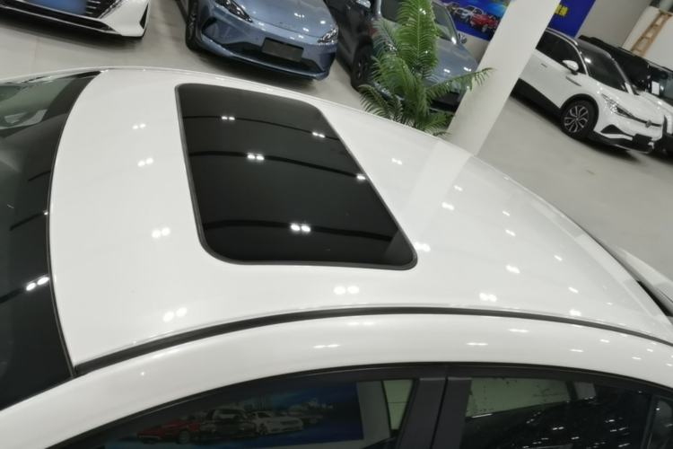 Used Nissan Sylphy 2023 1.6L CVT Enjoyment Edition