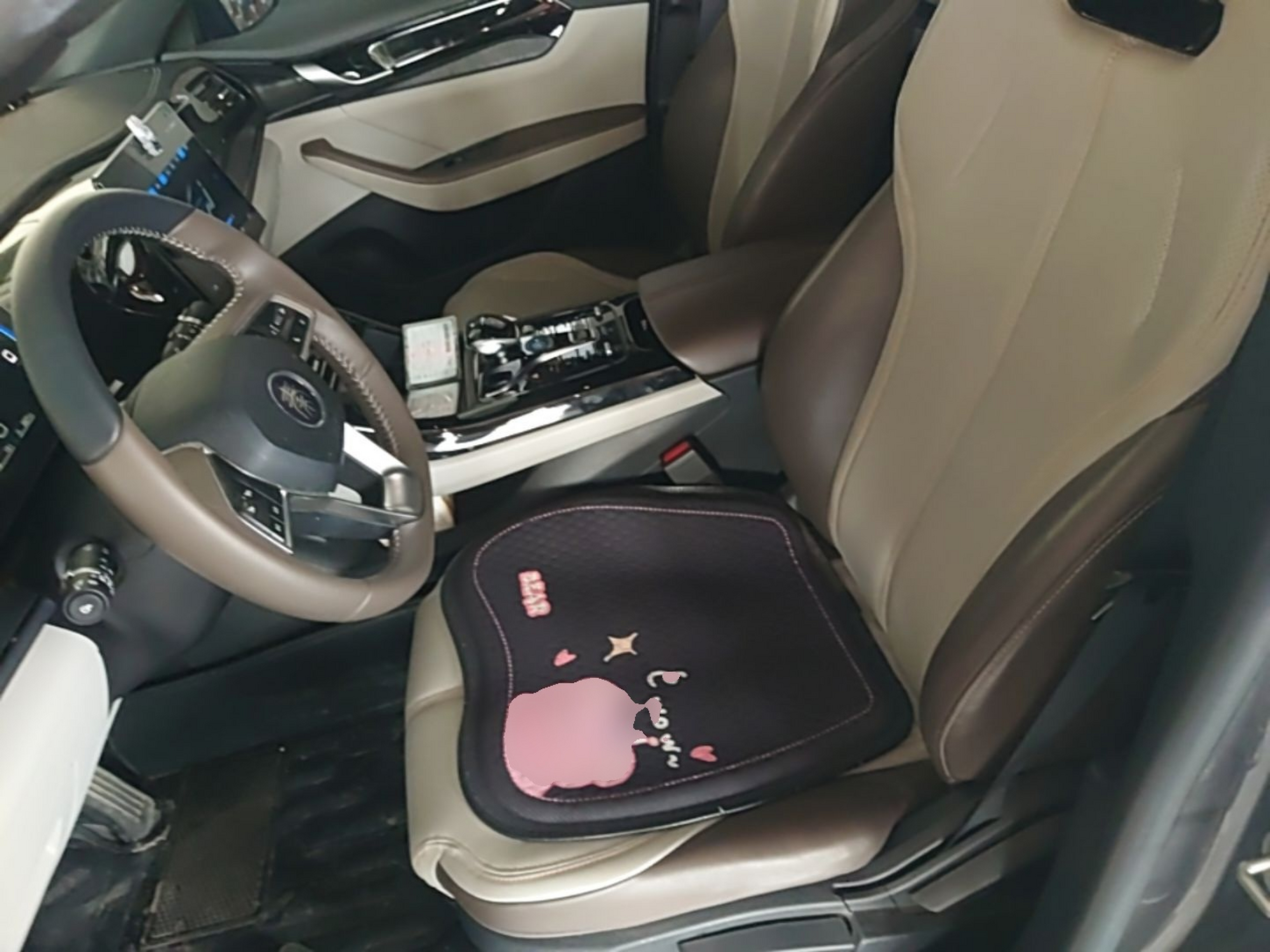 Interior delantero