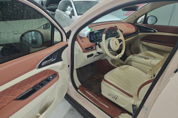 Used ORA Good Cat 2023 401 km Standard Range Premium Version Lithium Iron Phosphate
