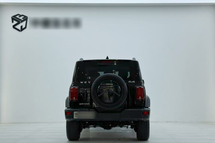 Used Tank 300 2021 Off-Road Edition 2.0T Challenger
