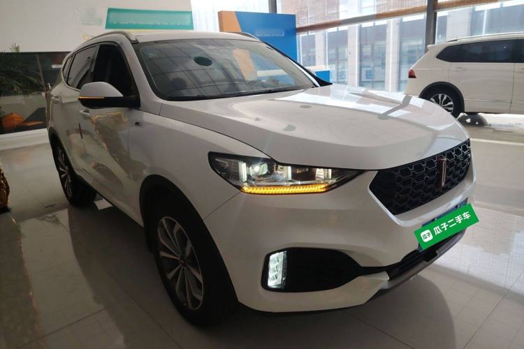 Used Wey VV6 2019 2.0T Two-Wheel-Drive Ultra-Luxury Version China VI Standard