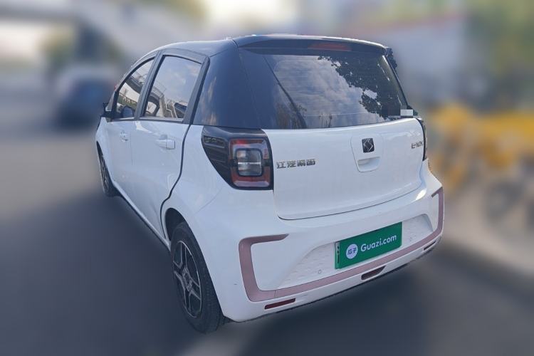 Used SOL E10X 2022 Flower Fairy Design Four-Leaf Clover