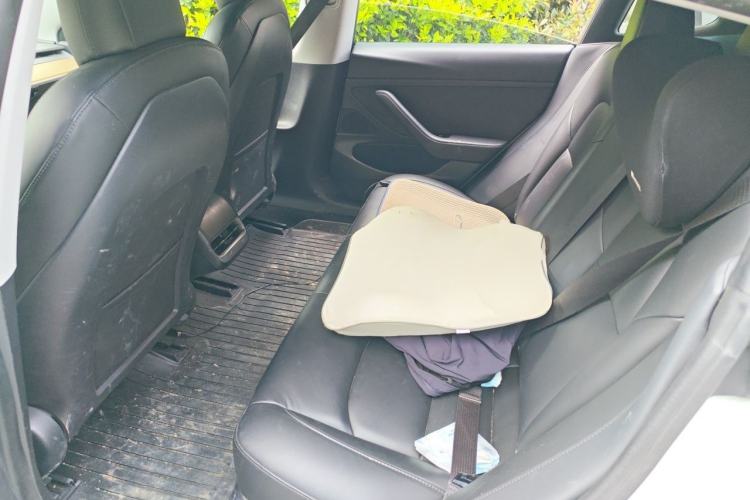 Used Tesla Model 3 2019 Standard Range Rear-Drive Upgraded Version Left Rear Seat