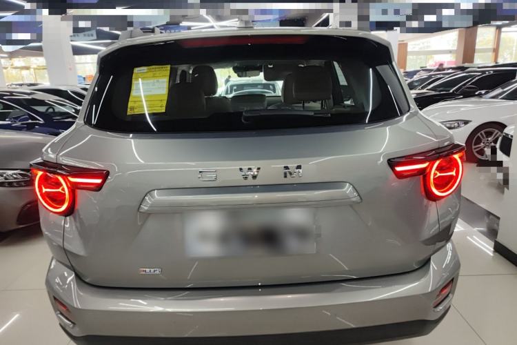 Used Haval H Dog 2026 Model 2.0T Trendy Wilderness Edition