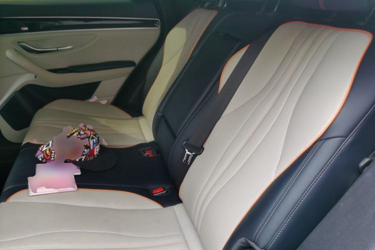 Used BYD Song PLUS New Energy 2021 DM-i 51KM Prestige Model Left Rear Seat