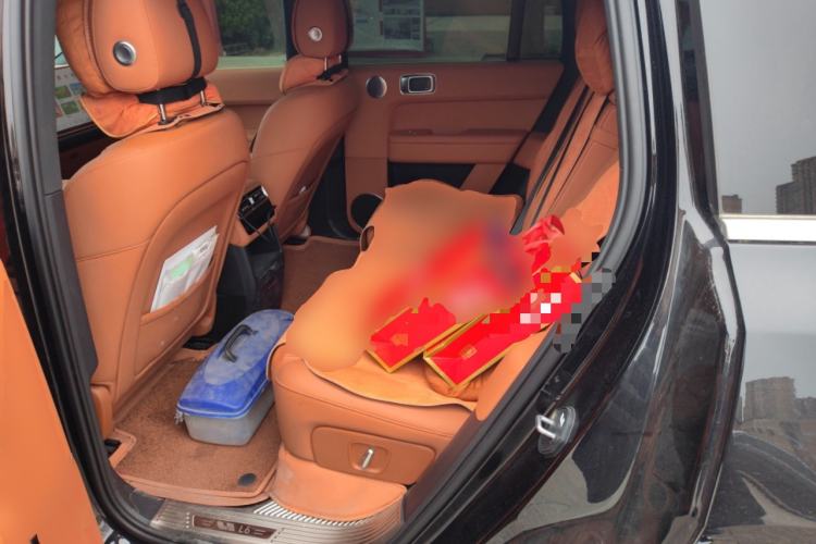 Used Li Auto L6 2024 Pro Model
