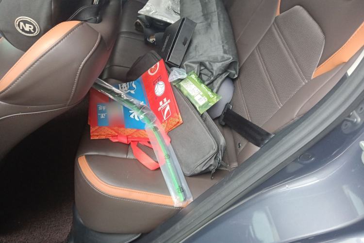 Used BYD e2 2021 Luxury Model