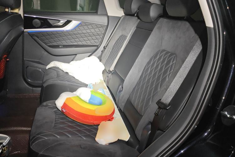 Used Hongqi HS5 2019 2.0T Smart Connect Flagship All-Wheel-Drive Version Left Rear Seat