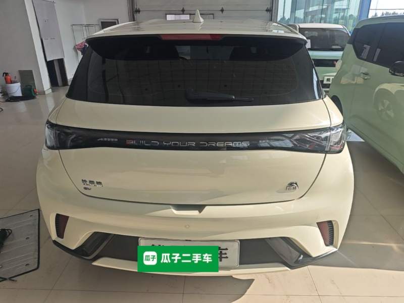 Used BYD Dolphin 2023 420 km Free Version — 5