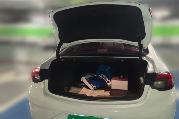 Used Buick Regal 2017 20T Elite Edition
