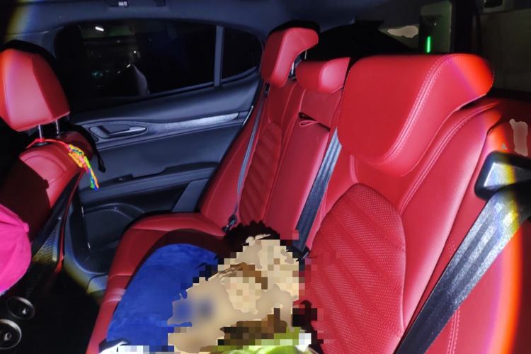 Used Alfa Romeo Stelvio 2023 2.0T 280HP Sprint Zongqing Version Left Rear Seat