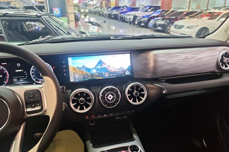 Used Tank 300 2024 2.0T Conqueror