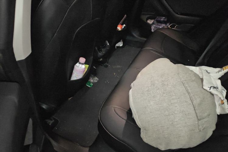 Used Tesla Model 3 2019 Standard Range Rear-Wheel Drive Upgraded Version (60 kWh)