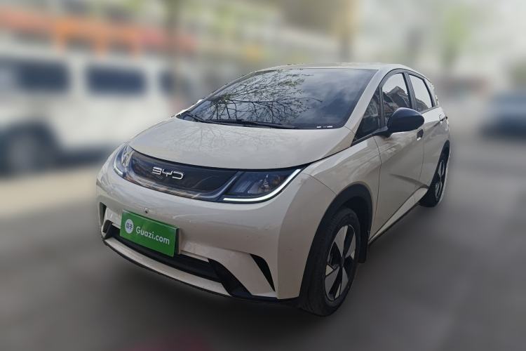 Used BYD Dolphin 2023 420 km Free Version