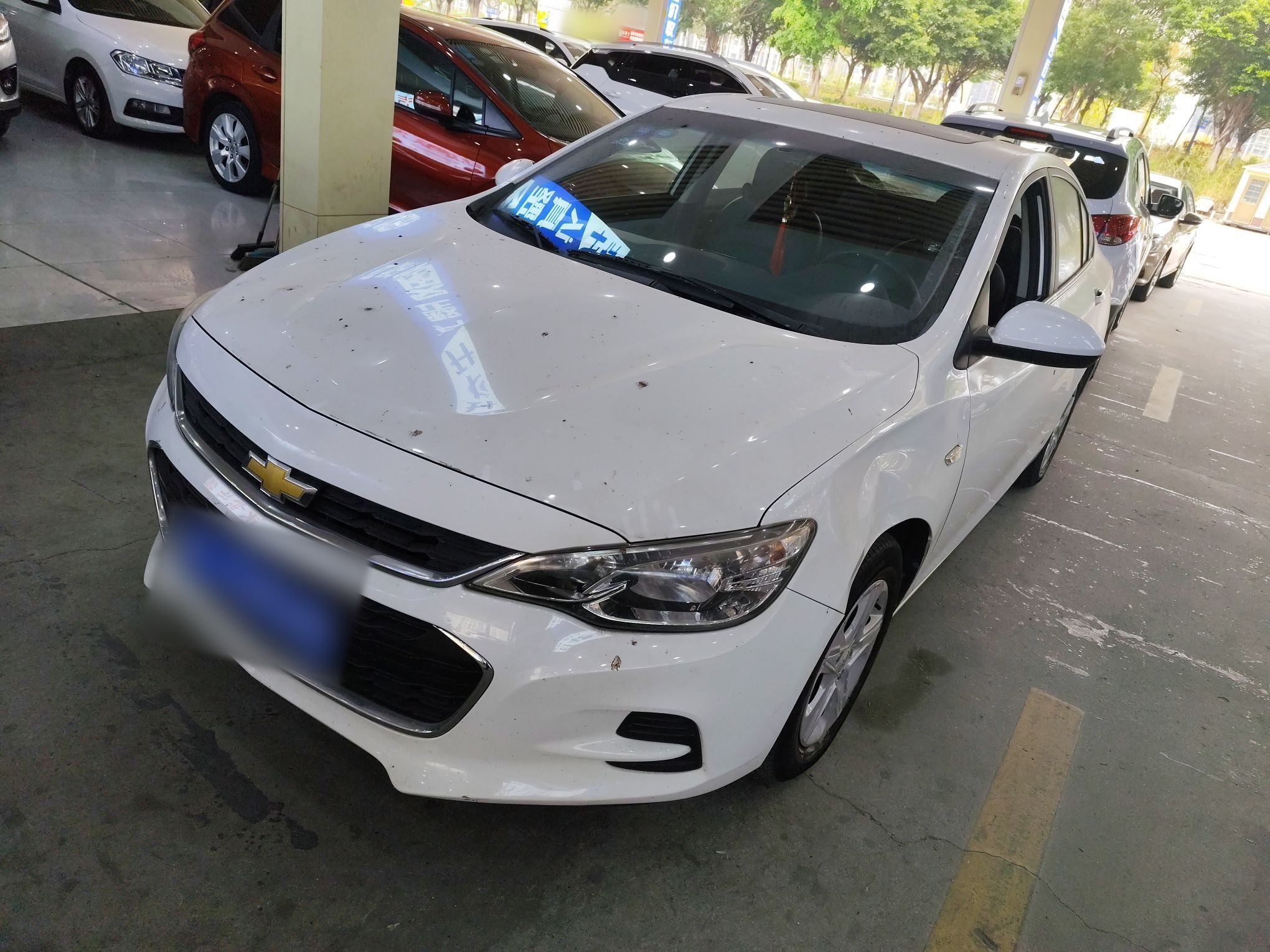 Parte inferior delantera