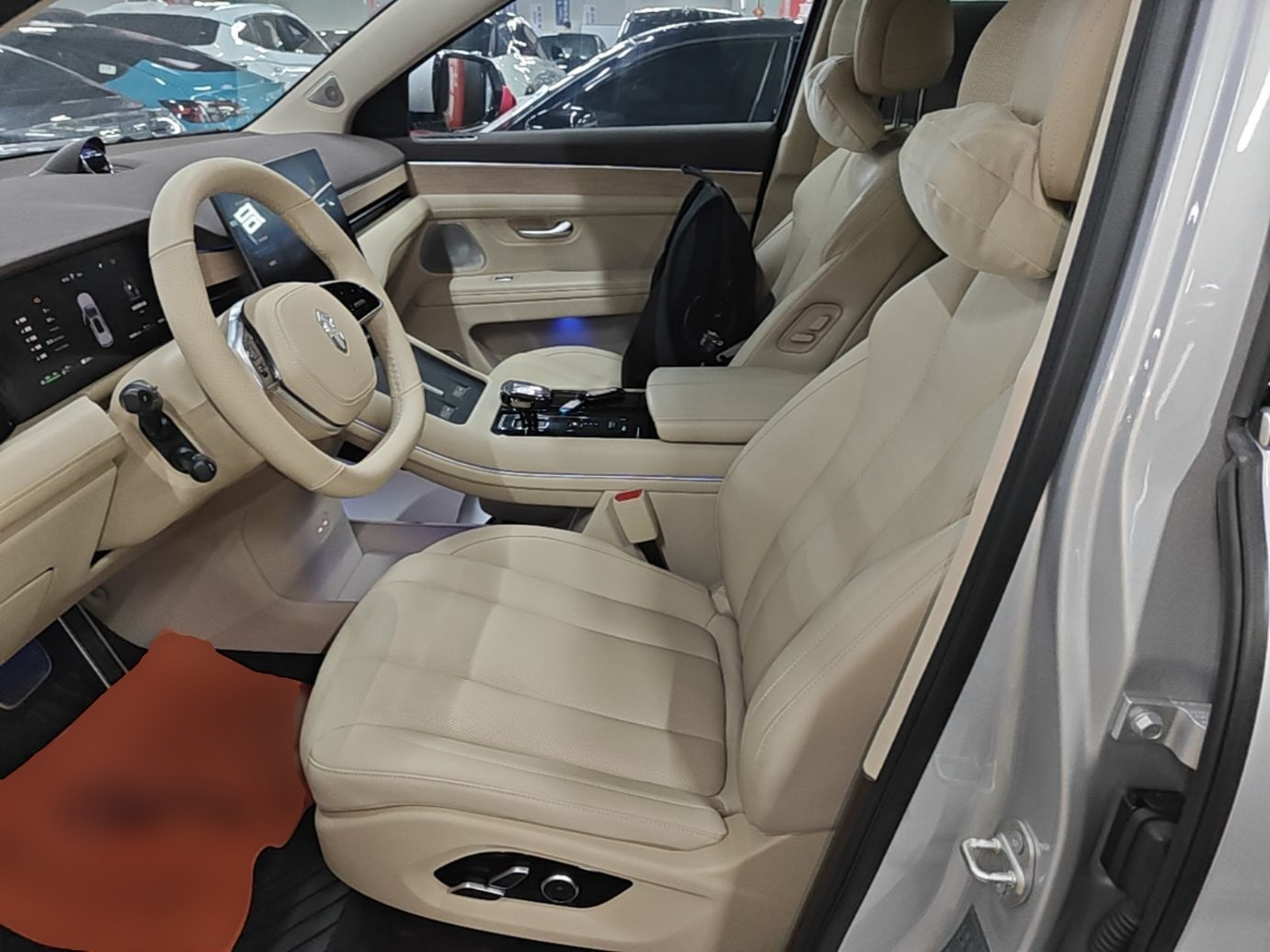 Interior delantero