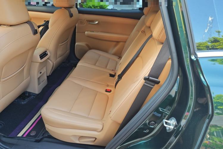 Used Landian E5 PLUS 2025 165 km Long-Range Travel & Comfort Edition 7 Seats