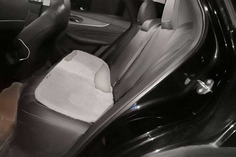 Used Venucia V 2022 260T Black Horse Edition · Idol
