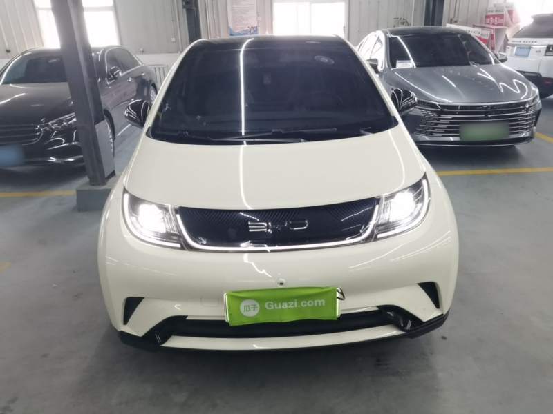 Used BYD Dolphin 2021 405 km Fashion Edition — 2
