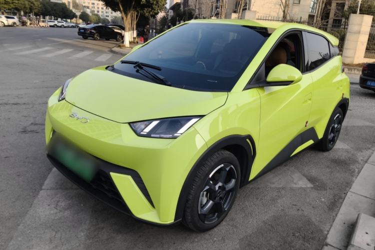 Used BYD Seagull 2024 Honor Edition 305km Freedom Version