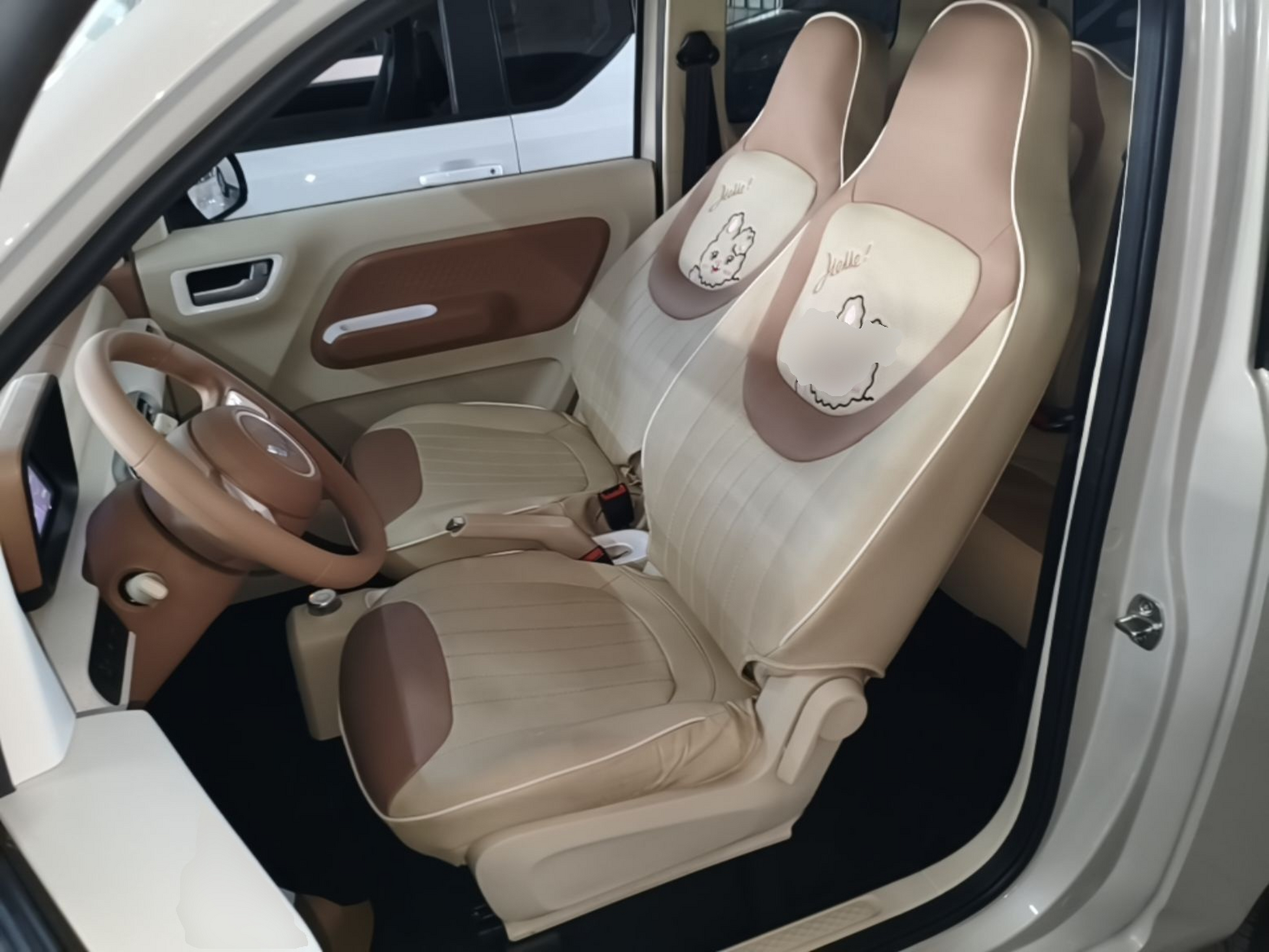 Interior delantero