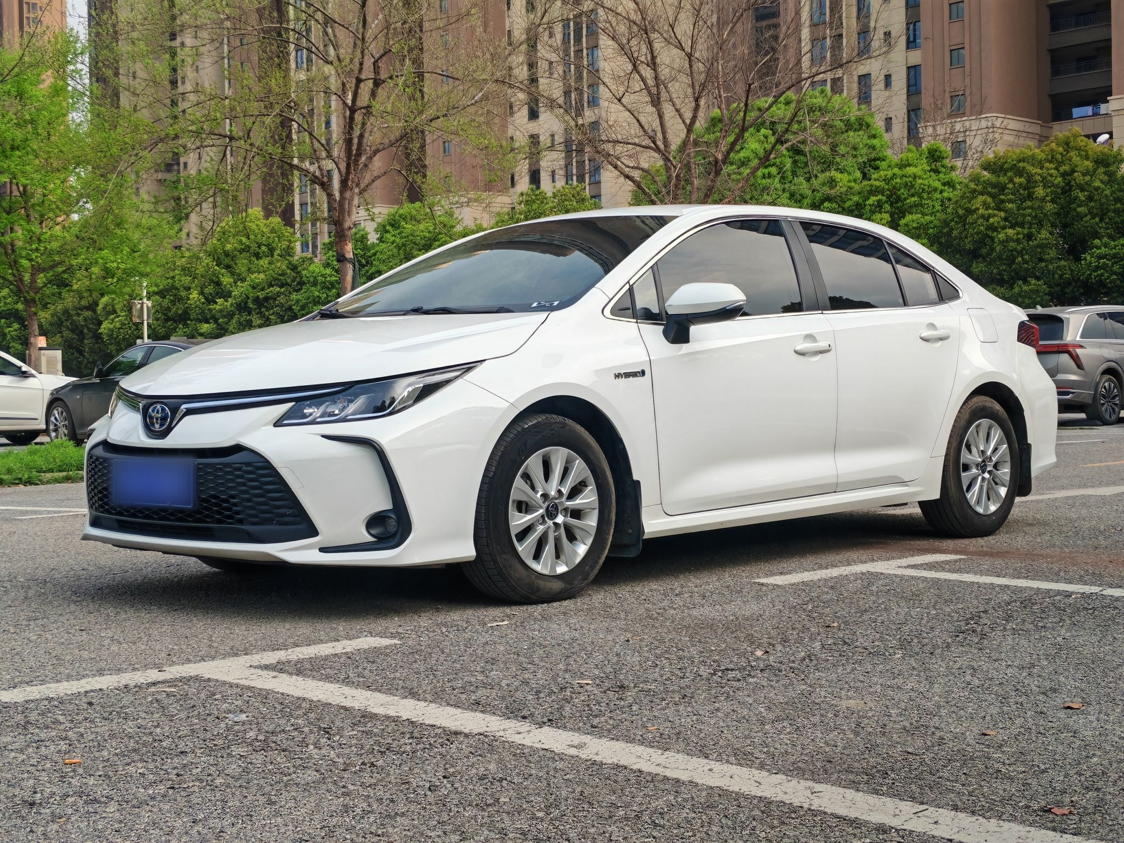 Parte inferior delantera