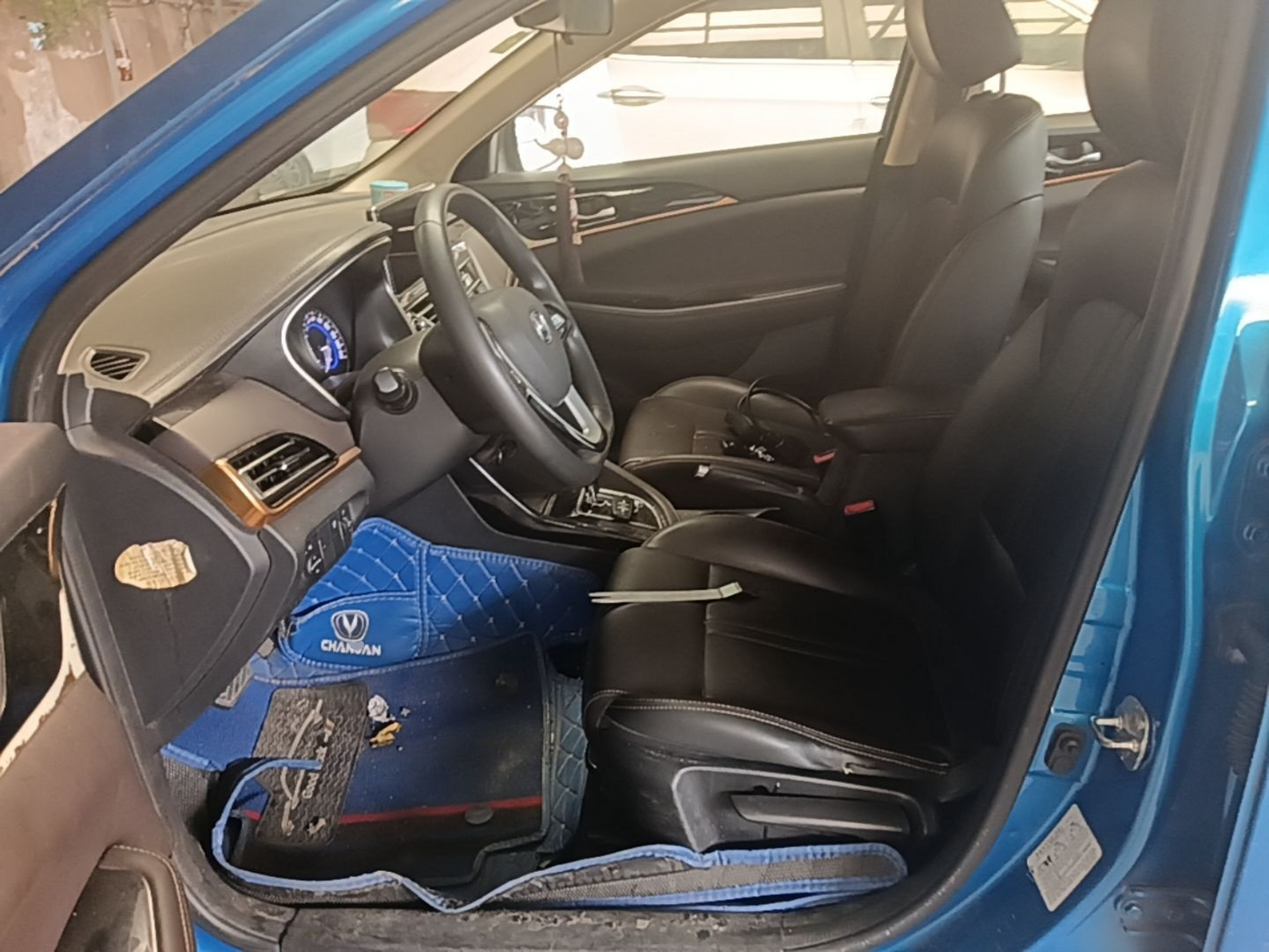 Interior delantero