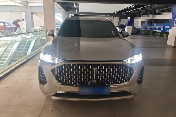 Used Wey Mocha 2021 2.0T Four-Wheel Drive Premium Edition
