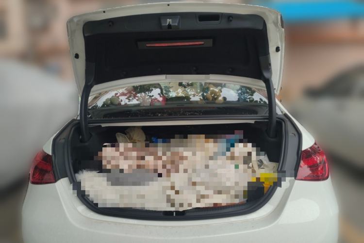 Used Mercedes-Benz C-Class 2025 C 260 L Sport Edition Trunk