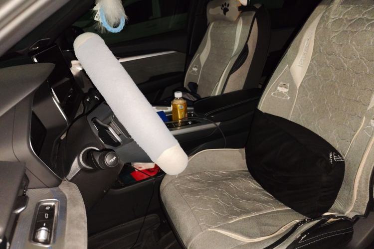 Used Geely Auto Preface 2023 2.0TD "Only This Verdant Green" Edition