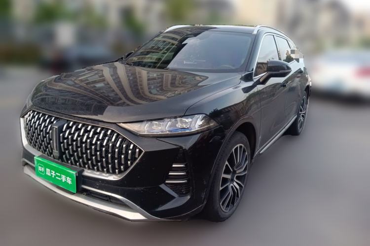 Used Wey Mocha 2021 2.0T Two-Wheel Drive NOH Smart Navigation Edition