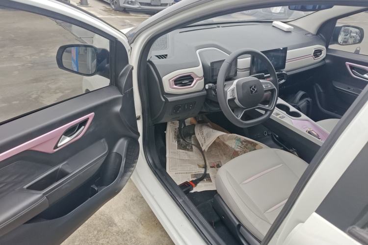 Used SOL E10X 2022 Flower Fairy Design Four-Leaf Clover