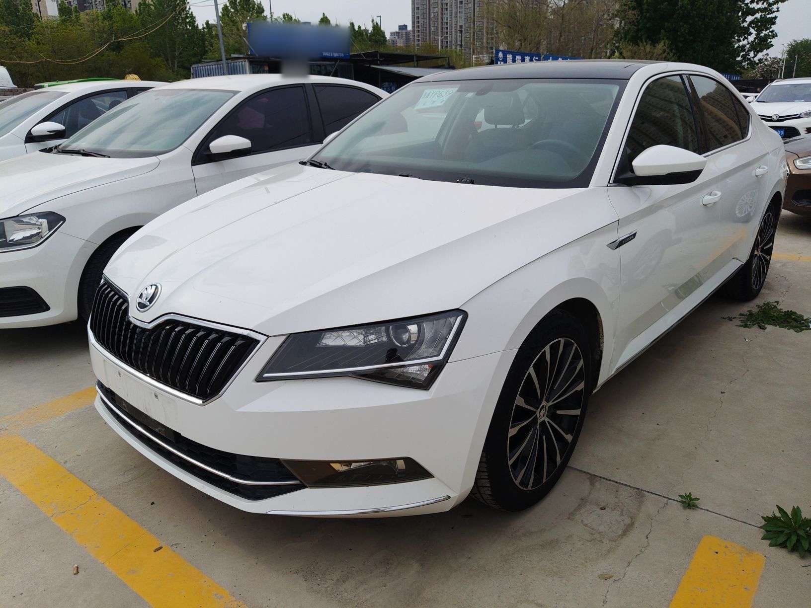 Parte inferior delantera