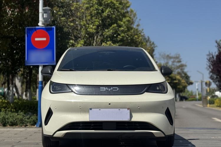 Used BYD Dolphin 2025 Intelligent Driving Version 410 km Fashion Edition
