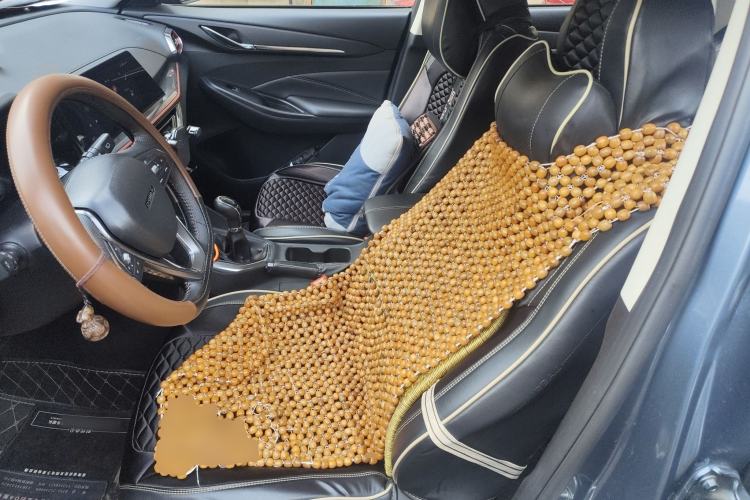 Used Oshan X5 2021 Revised Version 1.6L Manual Luxury Edition
