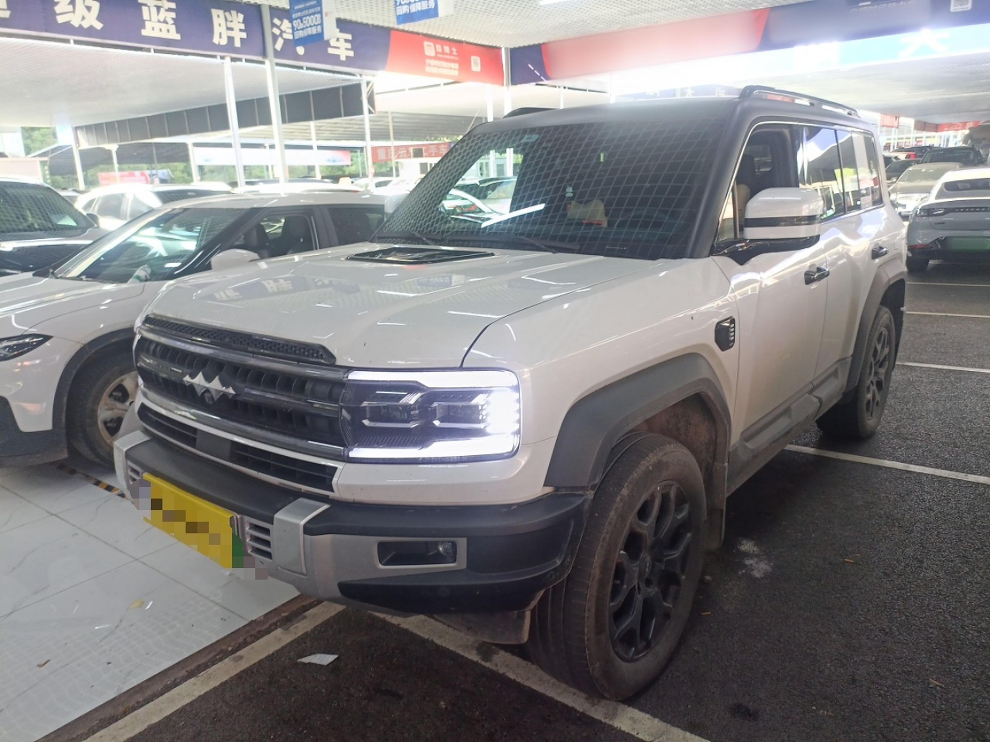 Parte inferior delantera