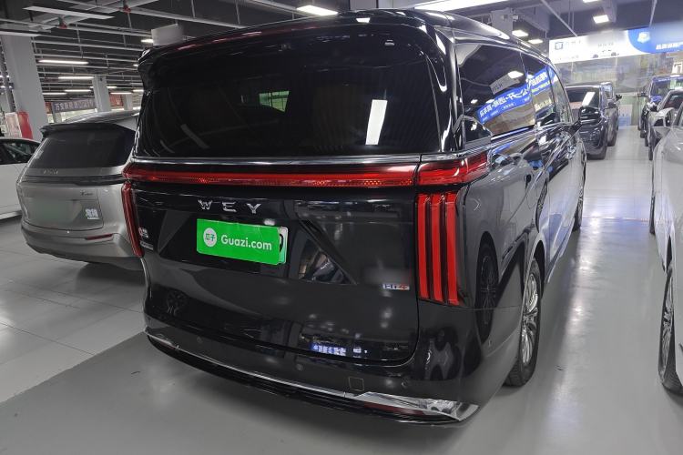 Used Wey Gaoshan 2023 Four-Wheel-Drive Executive Extended Version